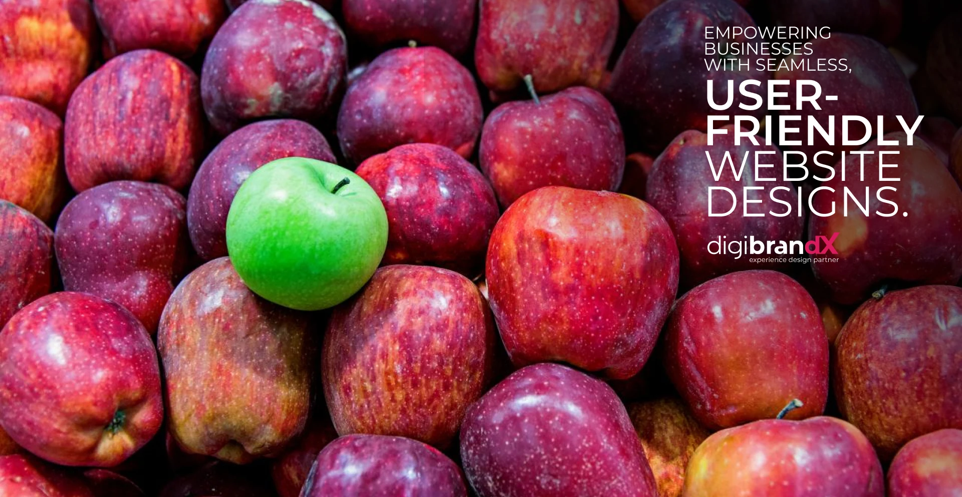 Responsive web design ensuring smooth user experience on all devices.